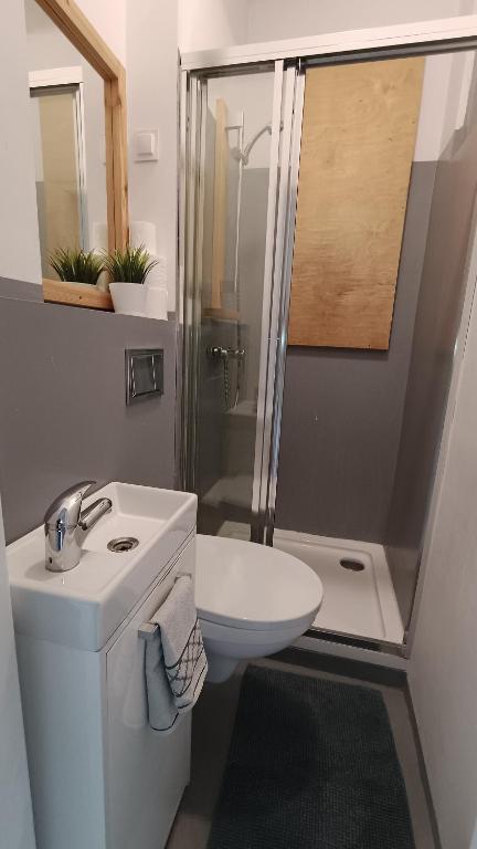 Modern bathroom with shower