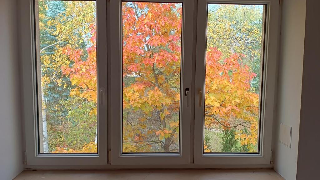 Beautiful autumn view through windows
